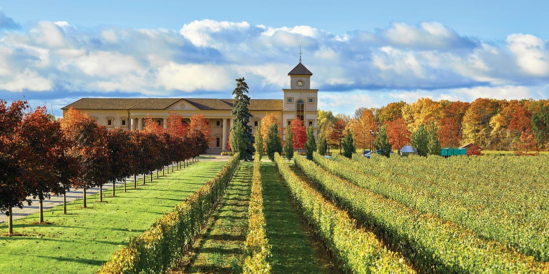 winery_Two-Sisters-Vineyards winery_Two-Sisters-Vineyards