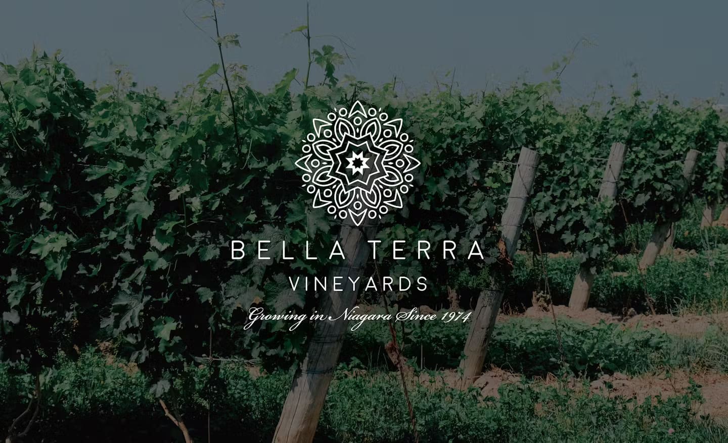 2fd623e2-dfa3-488c-a3e6-7dce6c335d96 2fd623e2-dfa3-488c-a3e6-7dce6c335d96